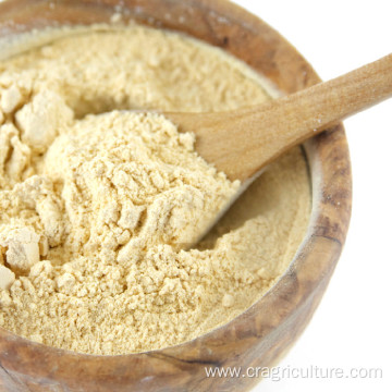 Food Grade Dry Allicin Garlic Powder